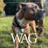 MAR Wag 1200X700
