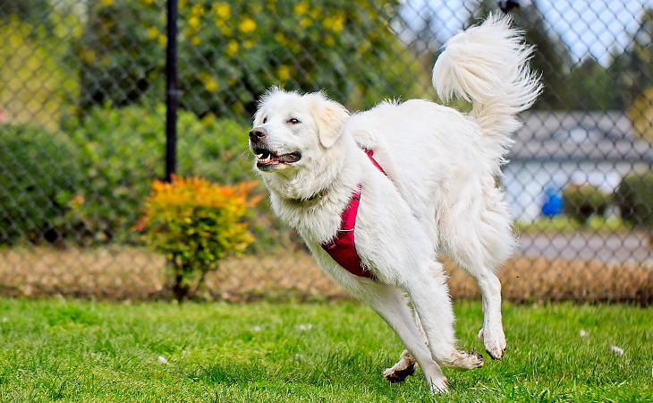 Hours And Location | Humane Society For Southwest Washington