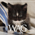 MAR_Wag_26-6_740x430.jpg