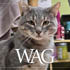 MAR Wag October 25 740X430 Web Banner