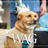 MAR_Wag_26-5-13_740x430_v1c.jpg
