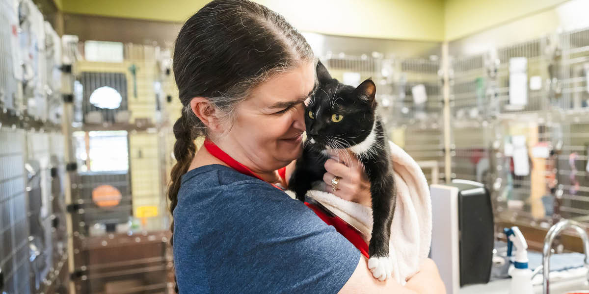 WAG 26 4 16 1200X600 Volunteer
