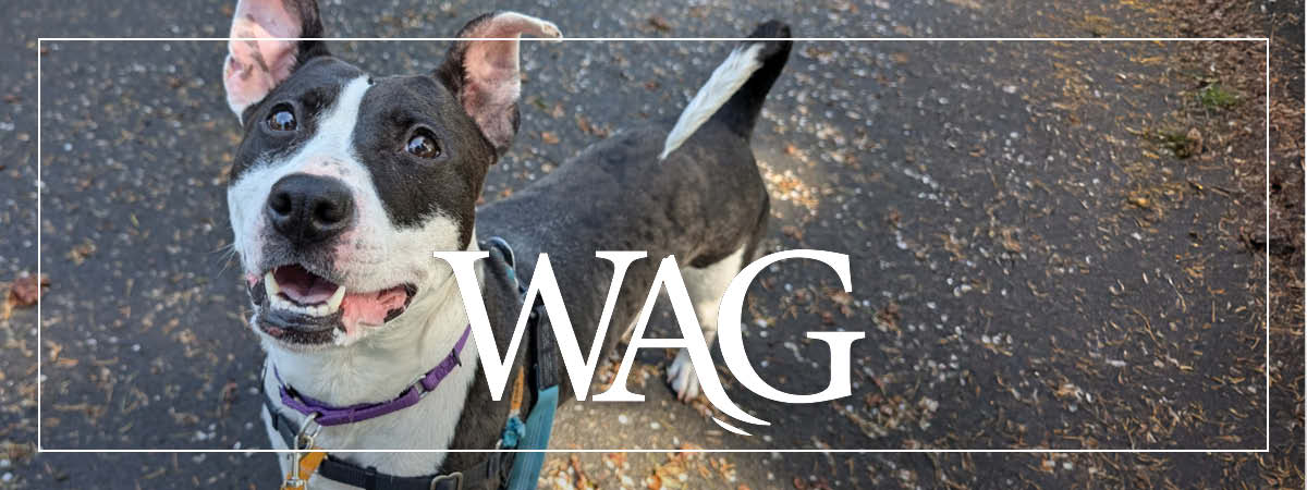 MAR Wag 2023 April2024