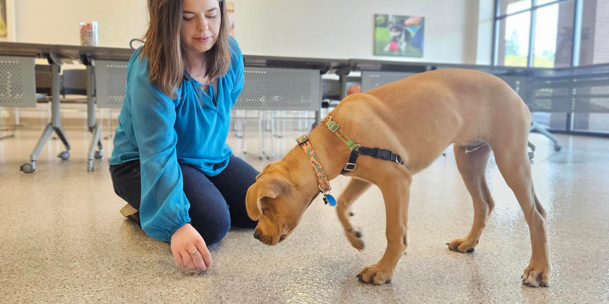 1200X600_FullWidth_DogTraining