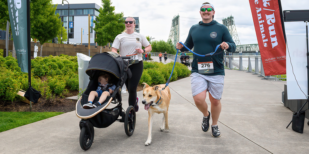 WAG 26 3 13 1200X6001 Walk People3