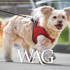 MAR Wag 740X430