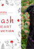 EVN Auction 25 Web Event Graphic V3