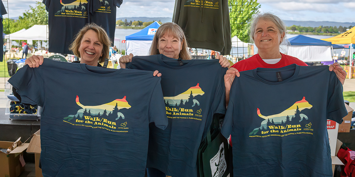 WAG 26 3 13 1200X6001 Walk Merch