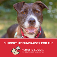 support my fundraiser dog