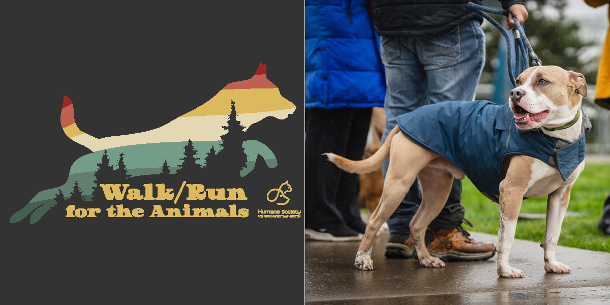 WAG February Walkrun