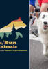 EVN_Walk-26_Web-Banner.jpg