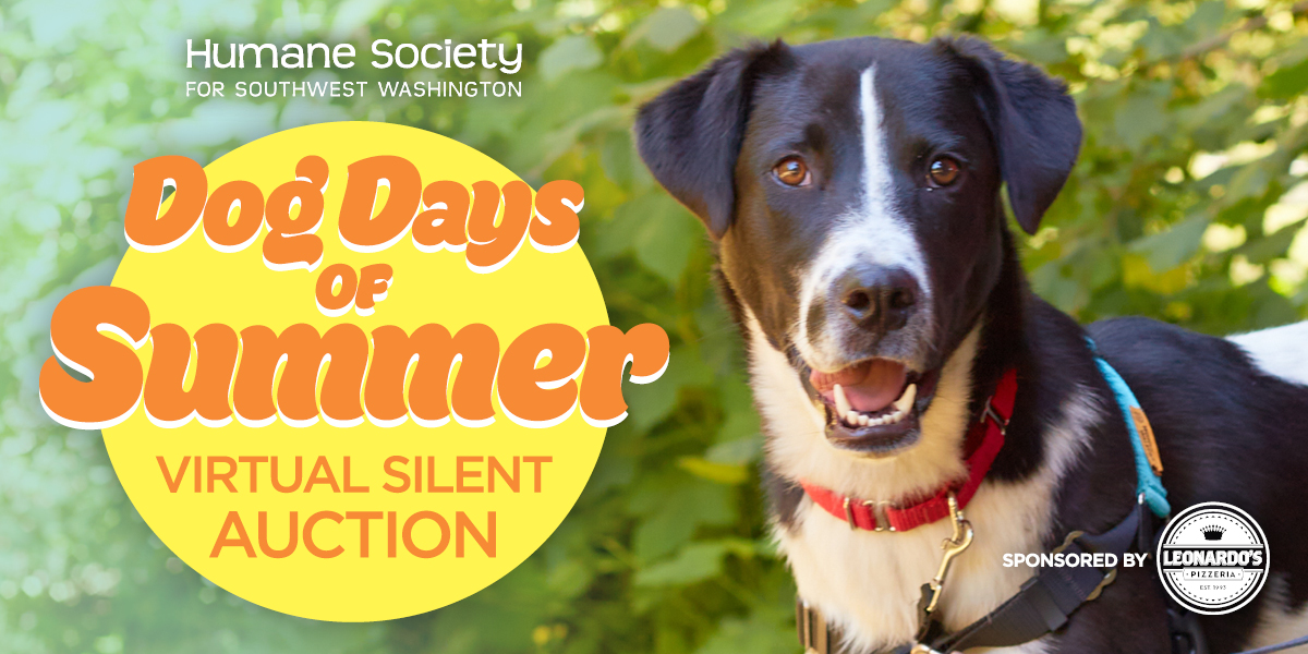 EVN_Dog-Days-26_Digital-Needs_Email-Header_v1.jpg