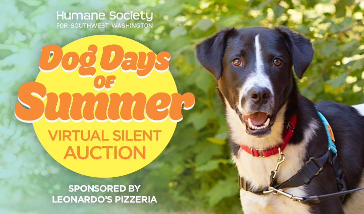 EVN_Dog-Days-26_Web-Banner.jpg