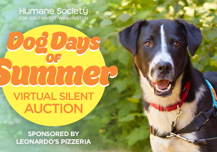EVN_Dog-Days-26_Web-Banner.jpg