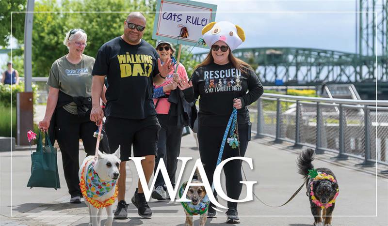 WAG Header May25 V2