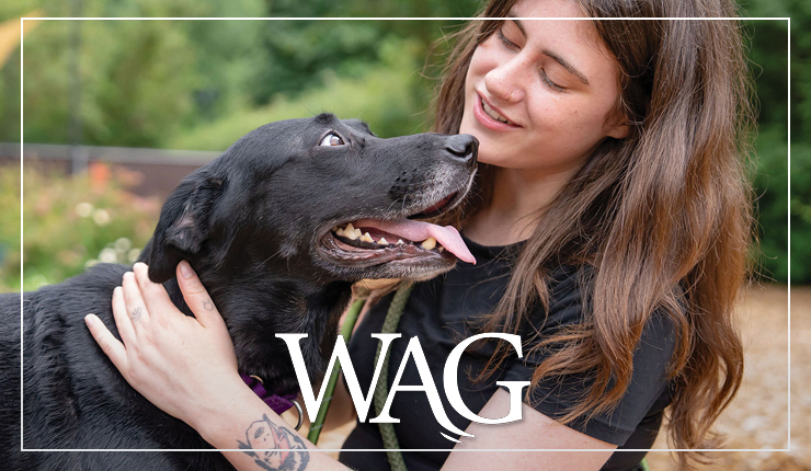WAG-26-7_Header_740x430_a.jpg
