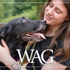 WAG-26-7_Header_740x430_a.jpg
