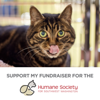 support my fundraiser cat (white)