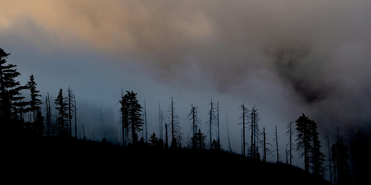 WAG-26-8_1200x600_Disaster-Prep_Smoke.jpg