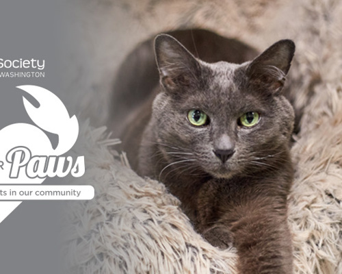 EVN Claws For Paws 26 Web Event V3