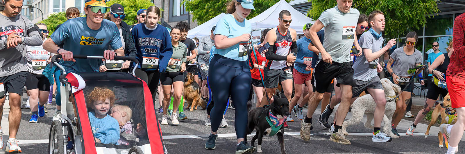 WAG Feb26 Walk Full Width Image