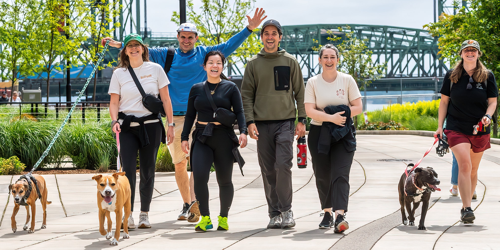 WAG_May 2026_WalkRun_1200x600.png