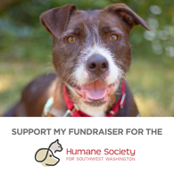 support my fundraiser dog (white)