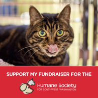 support my fundraiser cat (red)