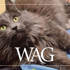 MAR Wag 1200X600 2026 1 15 (1)